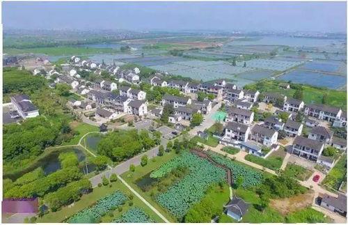 吴江东联村新闻爆料,揭秘乡村振兴新亮点  第2张